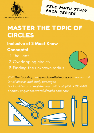 P6 Mathematics - Circles Study Package
